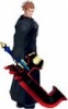 This is a picture of Lexeaus number V in Organization XIII
