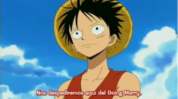 Luffy, Luffy everywhere