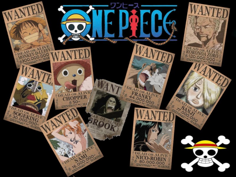 One Piece,Wanted