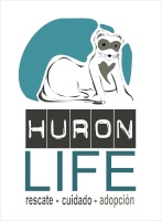 huronlife