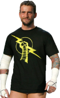 cm punk