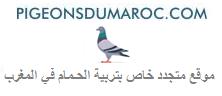 Logo-du-site-pigeonsdumaroccom