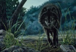 BlackWolf