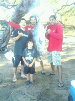 bloodline.kaha