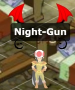 Night-Gun