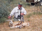 Springbok