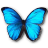 La leggenda della Farfalla Azzurra :-) • VULVODINIA.INFO 4104548121