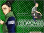 TheSenseiShikamaru