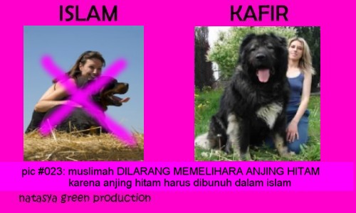 pic #23 muslimah DILARANG PELIHARA anjing hitam (harus dibunuh=suntik mati)