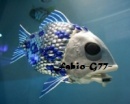 fabiog77