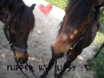 Saskia love Lissy 4-ever