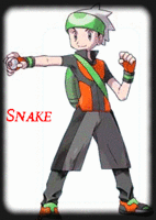 Snake¹²³