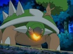 Torterra