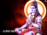 shiva