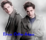 Edwar Cullen-Admin