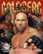 bill goldberg