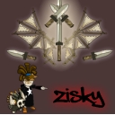 Zisky