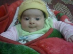 safwat gomaa