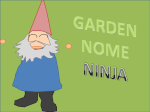 Garden Nome Ninja
