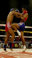 MuayThaiAddict