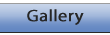 BGallery