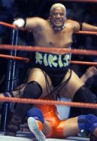 rikishi