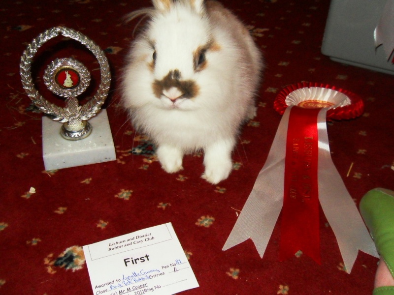 Ollie and his awards