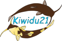 kiwidu21