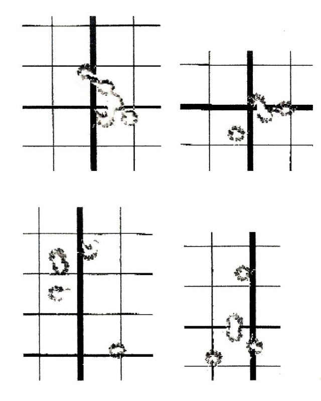 Résultats Salva en 6.5-284 Groupe13