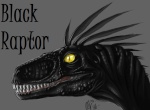 Black_Raptor66