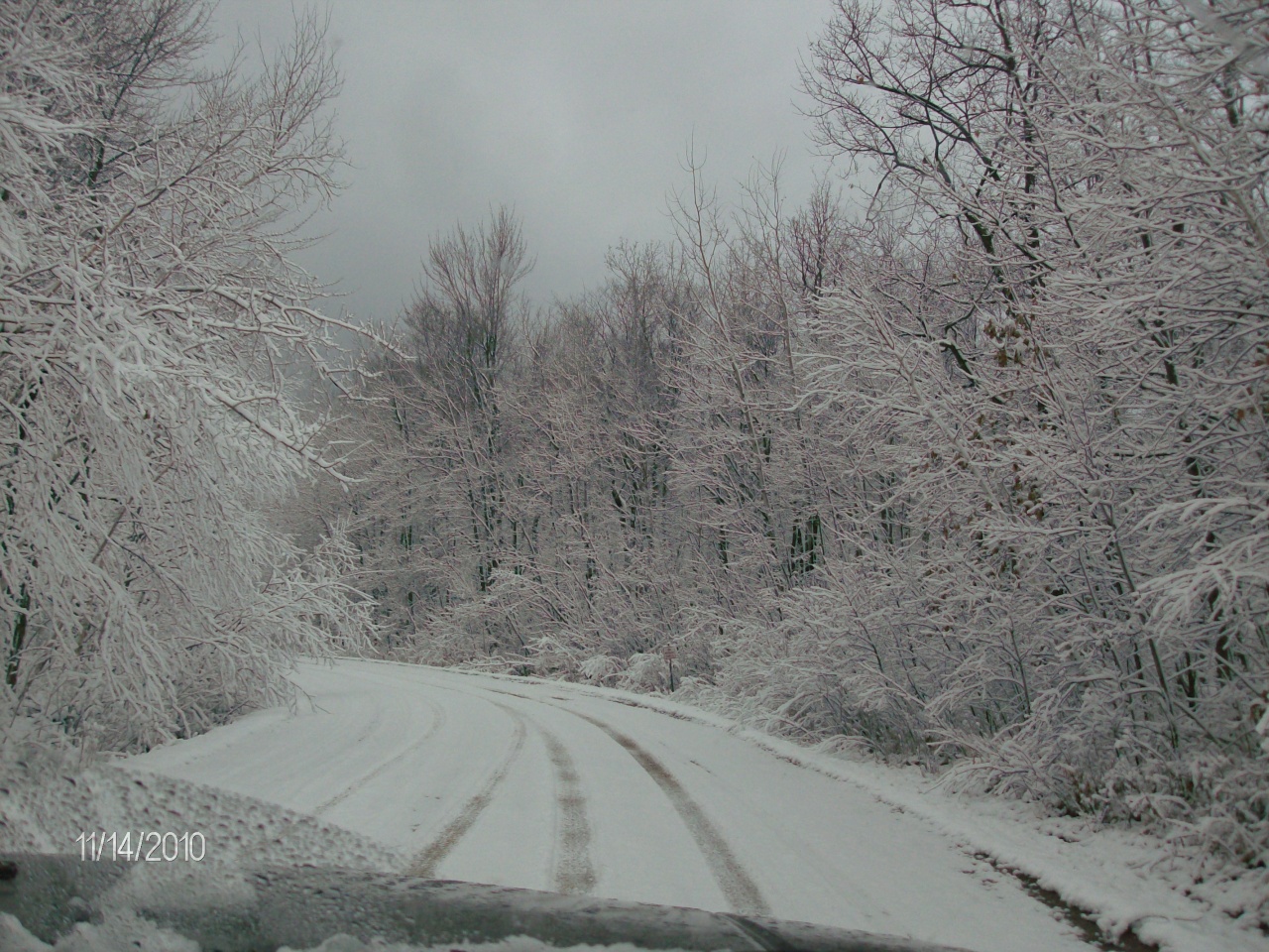 first snow 011