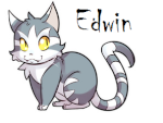 Edwin