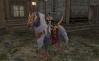 Lineage 2 Pictures Mount_10