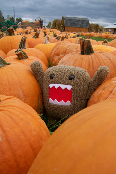 Domo-kun!!!!!!