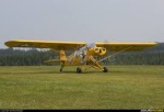 PiperCub