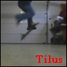 Tilus