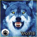 Wolf18