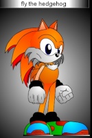 fly-the-hedgehog