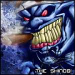 The Shinobi