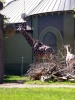 Ausflug in den Tierpark Hellabrunn Cimg8326