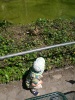 Ausflug in den Tierpark Hellabrunn Cimg8333