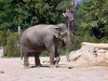 Ausflug in den Tierpark Hellabrunn Cimg8336