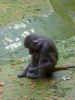 Ausflug in den Tierpark Hellabrunn Cimg8347