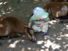 Ausflug in den Tierpark Hellabrunn Cimg8413