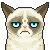 GrumpyCat