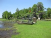 Airboat Pictures Pictur11