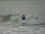 Bodyboard_Hazard