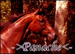 Panache