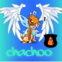 Chachoo