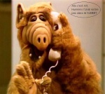 Alf77